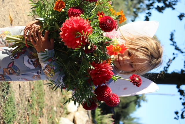 Monte Flor seasonal flower bouquet