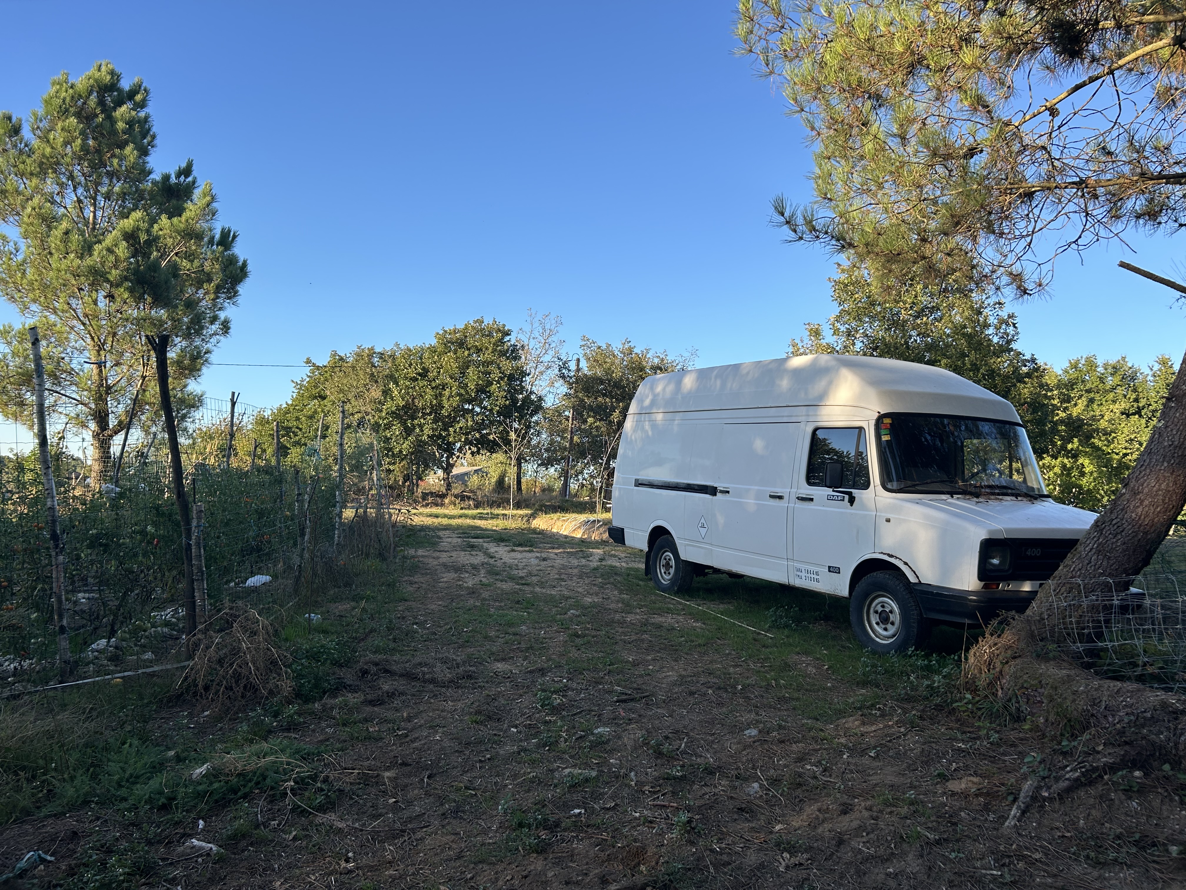 Vintage camper parked beside the flower garden at Monte Flor.